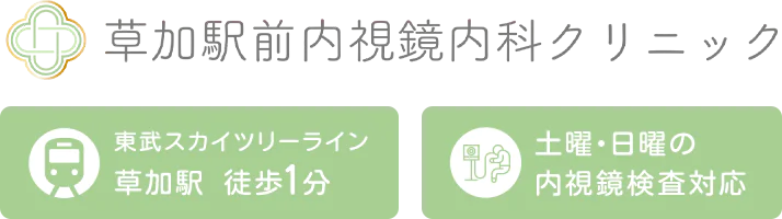 草加駅前内視鏡内科クリニック 東武スカイツリーライン 草加駅 徒歩1分 土曜・日曜の 内視鏡検査対応